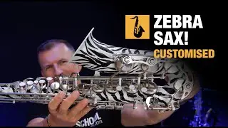 I Customised my Alto Saxophone - The Zebra!