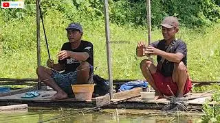 Mancing di BK lagi gacor kawan