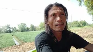 Discussion on the cultivation of shallots