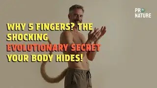 Why 5 Fingers? The Shocking Evolutionary Secret Your Body Hides!
