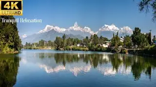 Soothing Stress Relief Piano Music for Gentle Vibes and Healing | Relaxing 4K Nature HD Video