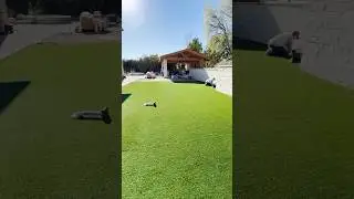 Synthetic turf installation #processvideo #constructionwork #turf #syntheticturf #backyardideas
