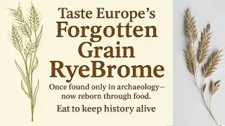 Kickstarter release 9th April: Brome &ndash; Taste Europe&rsquo;s Forgotten Grain