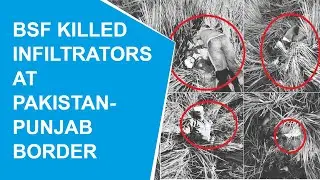 BSF gunned down 5 infiltrator in Punjab&rsquo;s Tarntaran near India Pakistan border