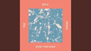 Don't Pretend