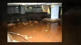 Fort Worth Home Inspection Basement Horrors | 817-797-2461 | CALL US!