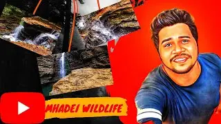 Mhadei Wildlife Sanctuary pt2 | Goa | India @YogeshwarShirodkar