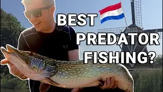 Is this the BEST Predator Fishing in Europe? 🇳🇱 Pike and Perch fishing in the Netherlands 🎣