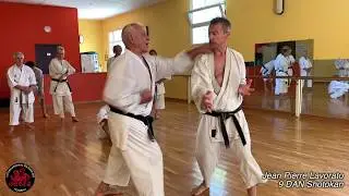 Shotokan Karate-Do Seminars - Jean Pierre Lavorato