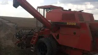 1 dia de colheita da Soja !🌱 só presepada kkk😂