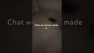 #boxmail #memes
