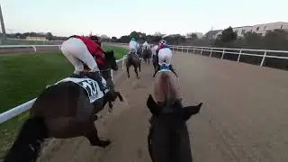 En selle sur Great Charlie avec Hugo Lebouc dans le Prix Outil en Main (Prix des Lutins) à Pornichet