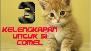Review Cat Liter Pan+Pasir kucing 10L+soft strawbery pet Cat House