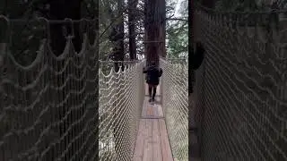 Trees of Mystery. walked the aerial suspension bridges from 50-100 feet high in the trees.