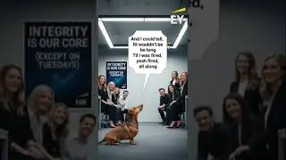 I h8 Ernst & Young