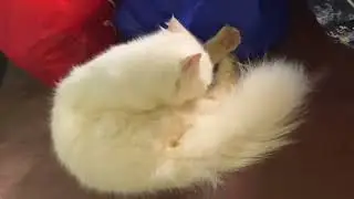 Winter is wiping her body