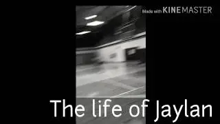 Life of Jay
