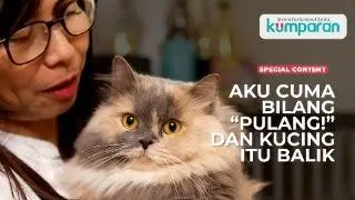 Dokter Ini Bisa Ngobrol Sama Hewan?! Kisah dr. Anggie, Animal Communicator