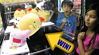 UFO Catcher & Claw Machine Prize Wins: Winning Japanese Plush Toys - Arcade Skill Crane Games