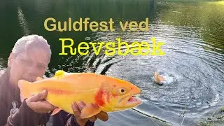 Revsbæk put and take - Vind en rygeovn - og gummidyr - put and take fiskeri