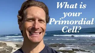 WHAT IS THE PRIMORDIAL CELL?  Your Health is Divine.