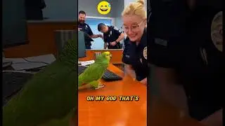 POV:The parrot's reaction after a police officer asked it to marry her #parrots #funny #talkingparot