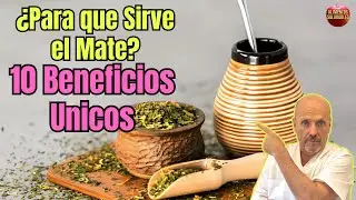 🧉&iquest;PARA QUE SIRVE EL MATE? 10 BENEFICIOS QUE TE SORPRENDERAN 🤫 Dato clave 🚀