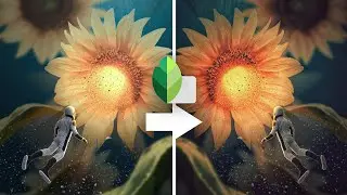 How to Color grade in Snapseed