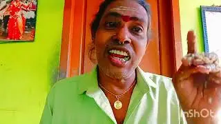 എന്റെ ചോറ്റുപാത്രം 