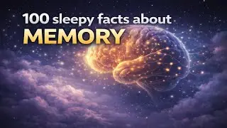 The Most Relaxing Facts About Memory to Fall Asleep To &mdash; No Adverts
