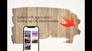 Gallery IOS application - Setting up UICollectionView