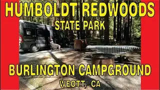 Burlington Campground, Humboldt Redwoods State Park, Weott, CA. June 2024
