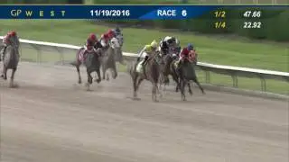 Gulfstream Park West Race 6 | November 19th, 2016