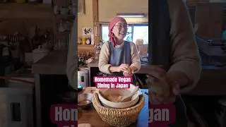 Homemade Vegan Dining in Japan