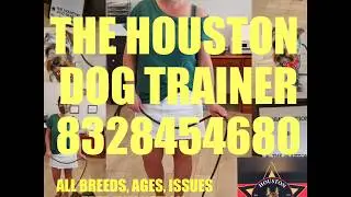 PROFESSIONAL DOG TRAINER HOUSTON TEXAS 8328454680