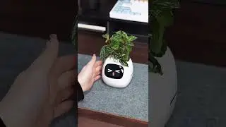 🌿 Top Smart Plant Pots & Planters | Best Smart Plant Devices 2025 🌱#garden #shorts #smartgadgets