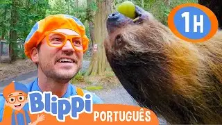 Blippi Visita um Parque Selvagem! | 1 HORA DO BLIPPI! | Vídeos de Animais para Crianças em Português