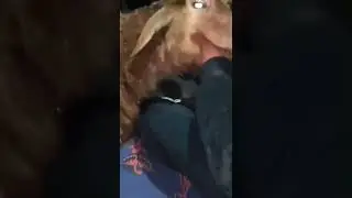 Мое, и только МОЕ!