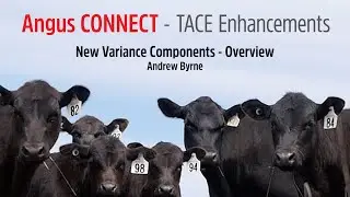 New Variance Components - Overview by Andrew Byrne