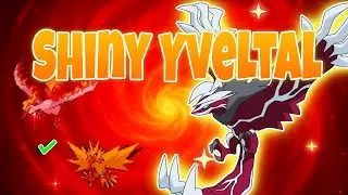 How I Hunted & Caught Shiny Yveltal