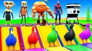 Spider-Man & Funny Friends: Colorful Ducks Water Slide Challenge! | Learn Colors 3D Animation