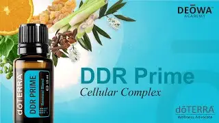 doTERRA DDR Prime Essential Oil-DEOWA Academy Group