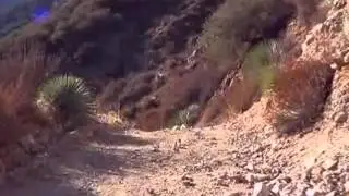 Shoemaker Canyon Road Hike video
