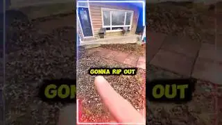 Full property Transformation (Ottawa,Ontario)