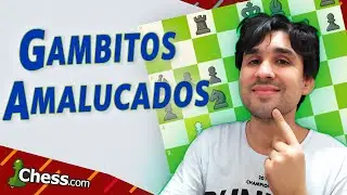 Gambitos super amalucados - Jogando Blitz