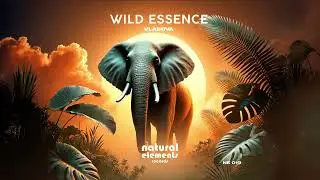 VLASOVA - Wild Essence (Radio Mix)