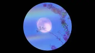 Magic Wave 42 - Feel Alive