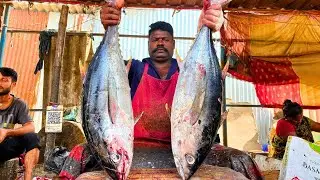 KASIMEDU 🔥 SPEED SELVAM | BIG TUNA FISH CUTTING VIDEO | FF CUTTING 🔪