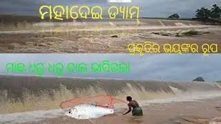 Mahadei dam !! ମହାଦେଇ ଡ୍ୟାମ 🏞️!! ପ୍ରକୃତି ର ଭୟଙ୍କର ରୂପ