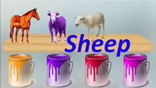 Wild animals bathing colors fun learn animals name and sounds